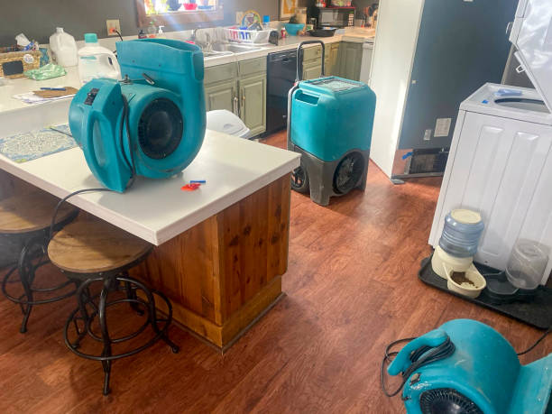 Best Water damage restoration near me  in North Wildwood, NJ