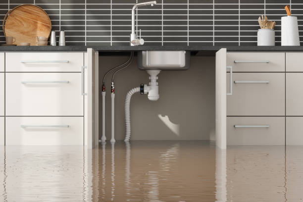 Best Water damage restoration specialists  in North Wildwood, NJ