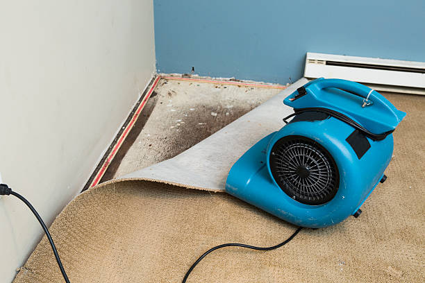 Best Sewage cleanup and water damage restoration  in North Wildwood, NJ